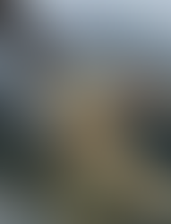 Forging the Offensive