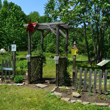 Historic Smithville Park - Part 3 Butterfly Garden