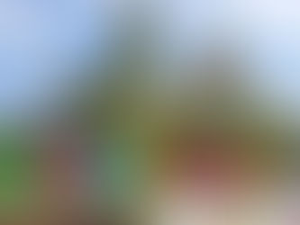 425 aniversario. Cristo negro de Otatitlán