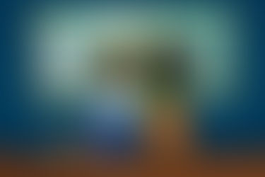 CARTA ABIERTA DE UN PADRE DE FAMILIA