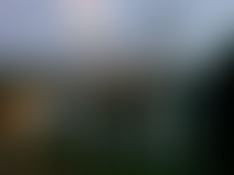 EL CASO COLECTIVO DE ENDEMONIADOS. SAN LEOPOLDO. MUNICIPIO DE SAN ANDRES TUXTLA...