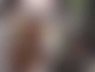 DEL ARBITRAJE Y LAS CANCHAS AL ALTAR. HOY ES SACERDOTE. DIOCESIS DE SAN ANDRES TUXTLA.