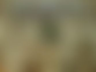 ¿A donde va la Iglesia de San Andrés Tuxtla?