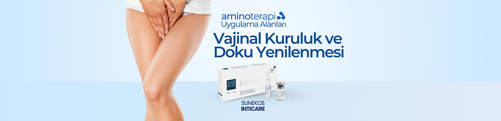 THE - web site - banner (22).png