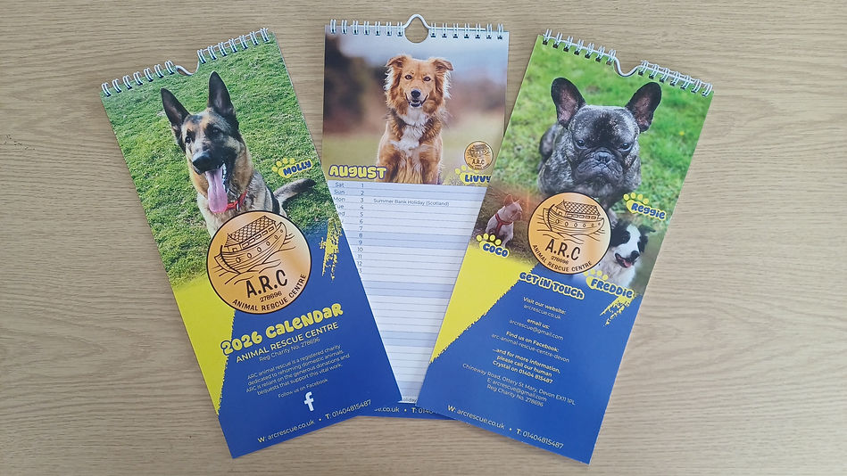 Calendar 2026 Promotion pic_edited.jpg