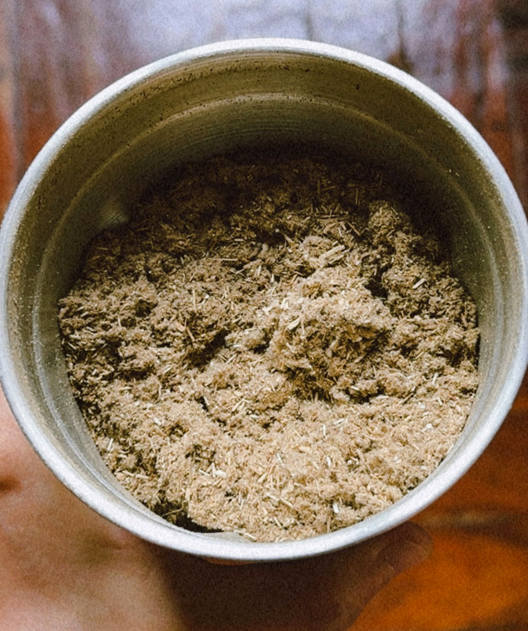 𝐌𝐮𝐠𝐰𝐨𝐫𝐭, 𝐟𝐫𝐞𝐬𝐡𝐥𝐲 𝐠𝐫𝐨𝐮𝐧𝐝 𝐩𝐨𝐰𝐝𝐞𝐫 (𝐖𝐢𝐥𝐝)