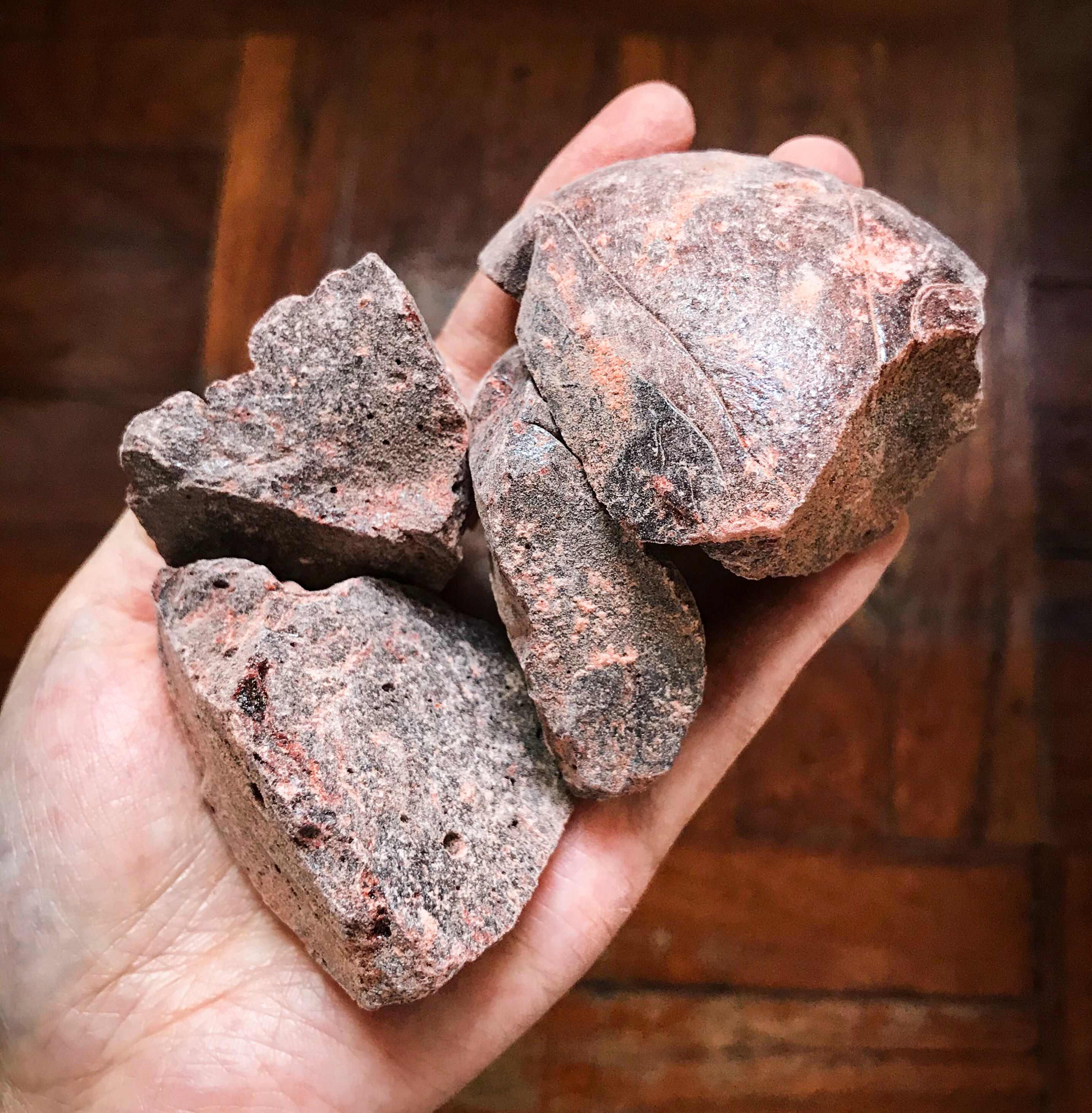 𝐃𝐫𝐚𝐠𝐨𝐧’𝐬 𝐁𝐥𝐨𝐨𝐝 𝐫𝐞𝐬𝐢𝐧, 𝐥𝐚𝐫𝐠𝐞 𝐜𝐡𝐮𝐧𝐤𝐬 (𝐖𝐢𝐥𝐝)