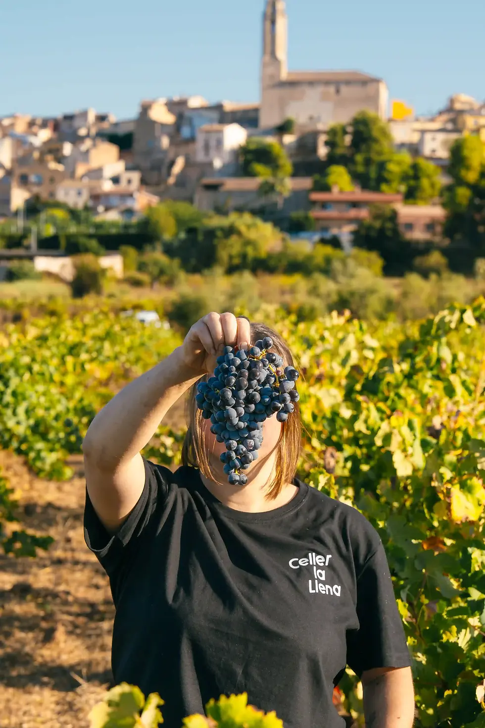 Celler La Llena -27.webp