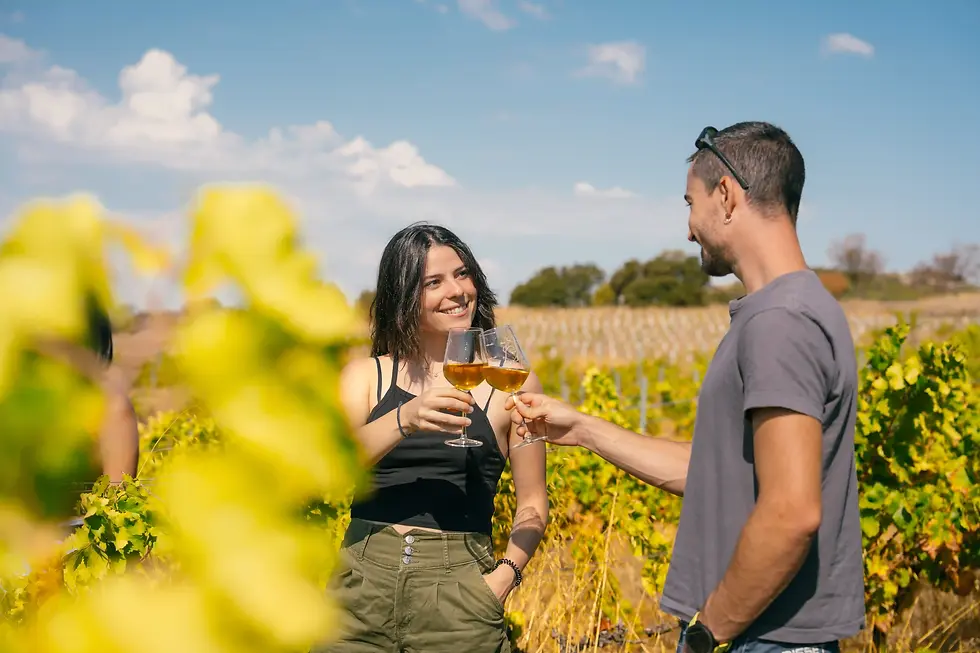 Celler La Llena -83.webp