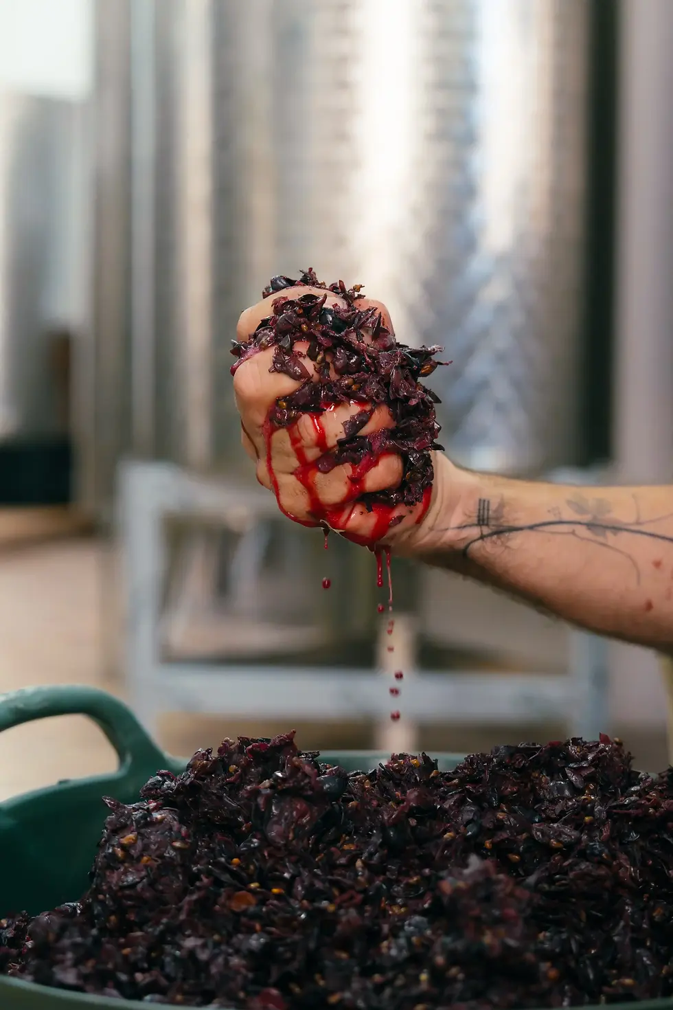 Celler La Llena -214.webp