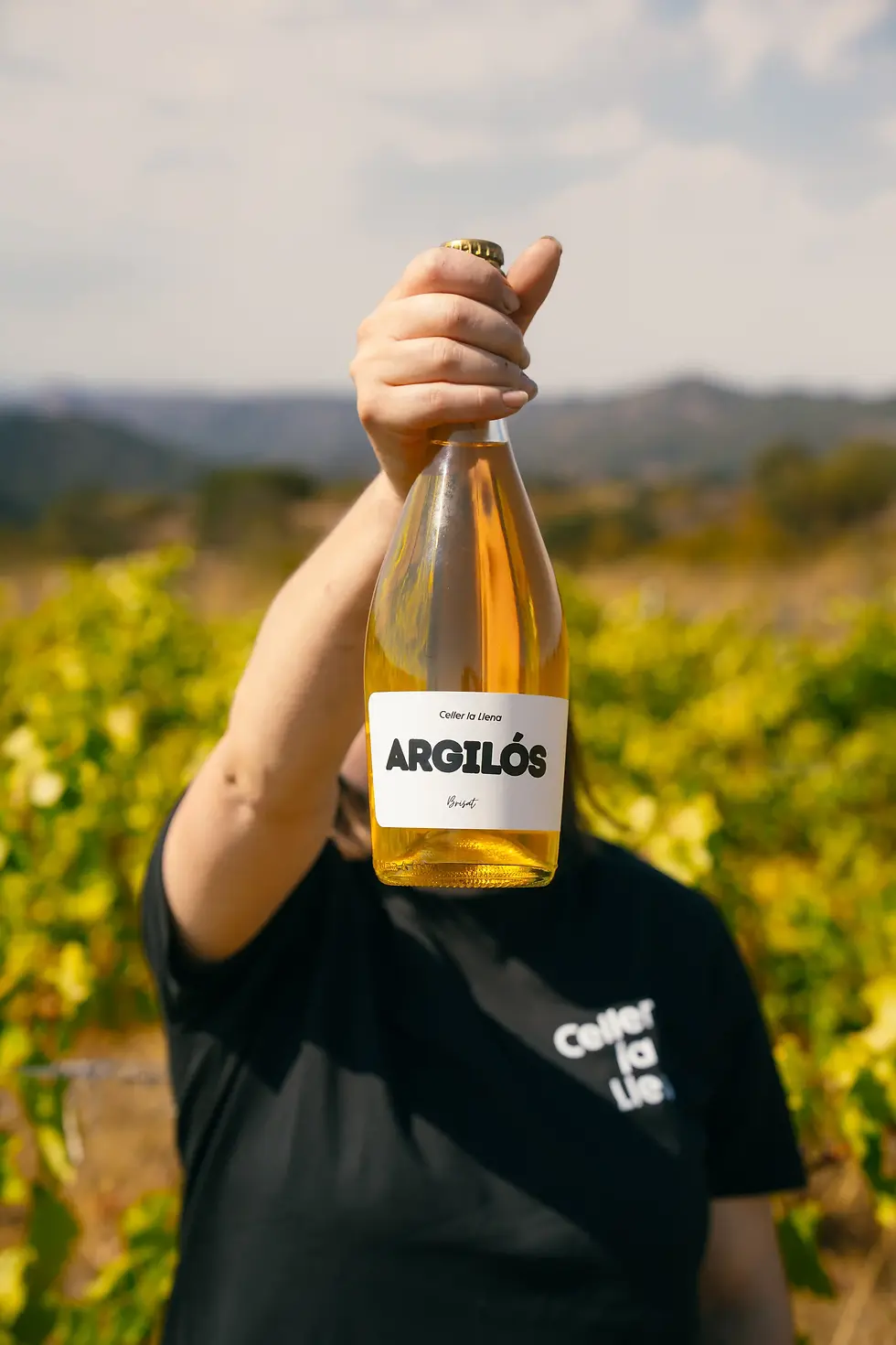 Celler La Llena -131.webp