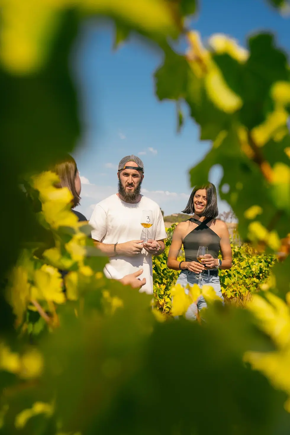 Celler La Llena -86.webp