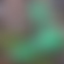 Chantier Loisirs à Ayron (86190) 