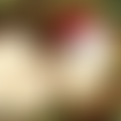 Installation artistique pour le C.L.A.S de Vouillé (86190) 