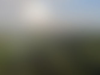 Beautiful Shot Of Woburn Forest