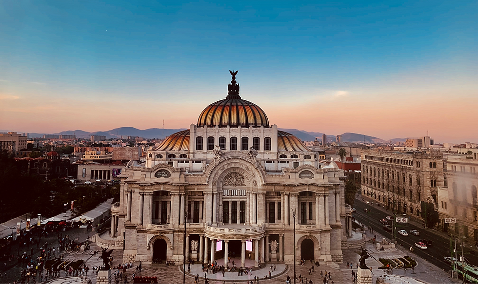 carlos-aguilar-oGRrpBX2ER4-unsplash_edited.png