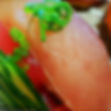 ALBACORE
