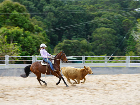 Horsing around