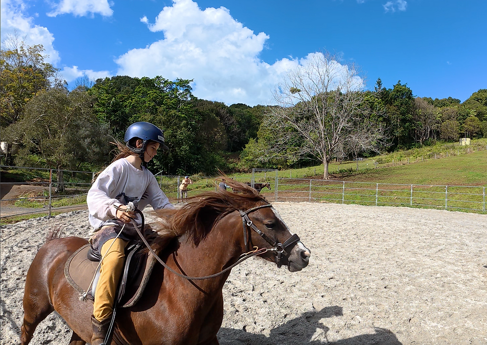 Gigi and Paige training for the upcoming Uki Stockmans Challenge