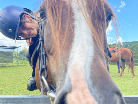 Meet Paige Gigi's Australian Riding Pony