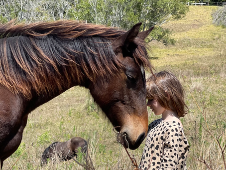 Gigi connecting with a beautiful horse
