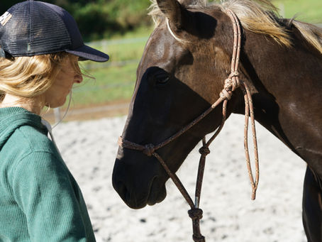 Leah and Flicker beginning the essential horse training steps session