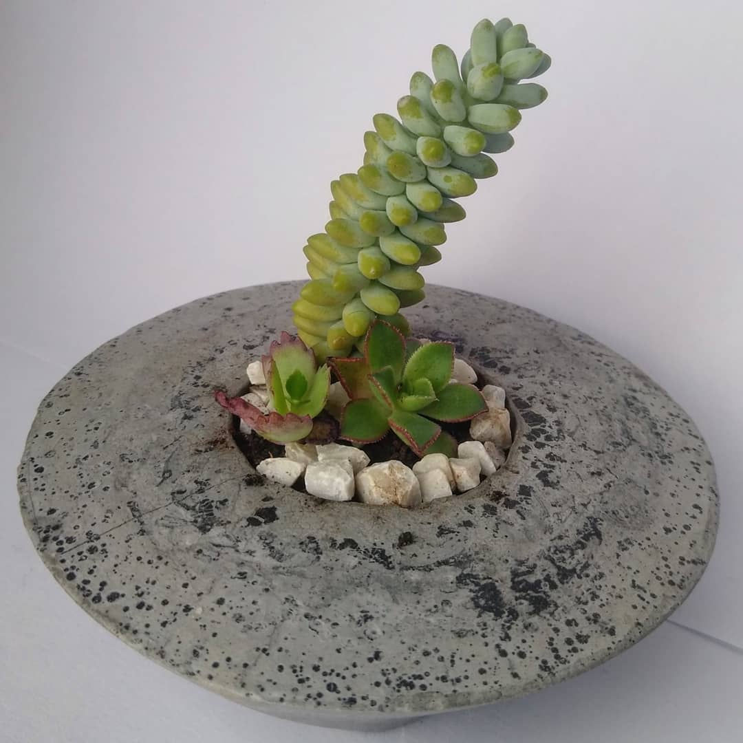 Mini cachepot de concreto (granito): Rase