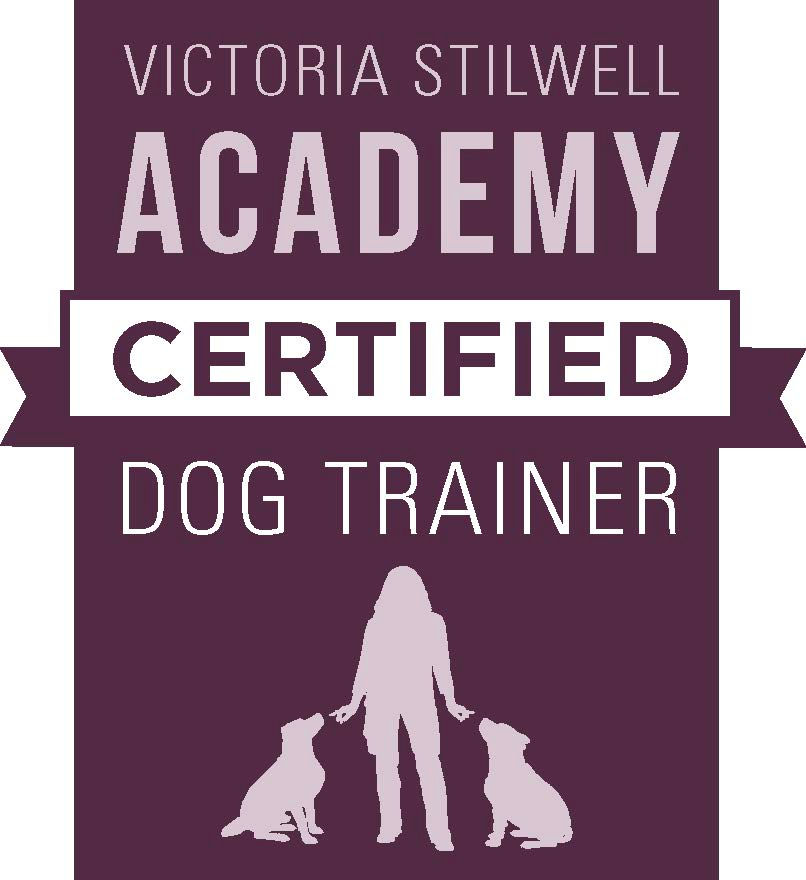 VSA-CDT Badge.jpg