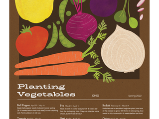 poster information design vegetables planting
