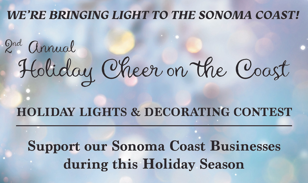 Holiday Cheer Visitor 2025.jpg