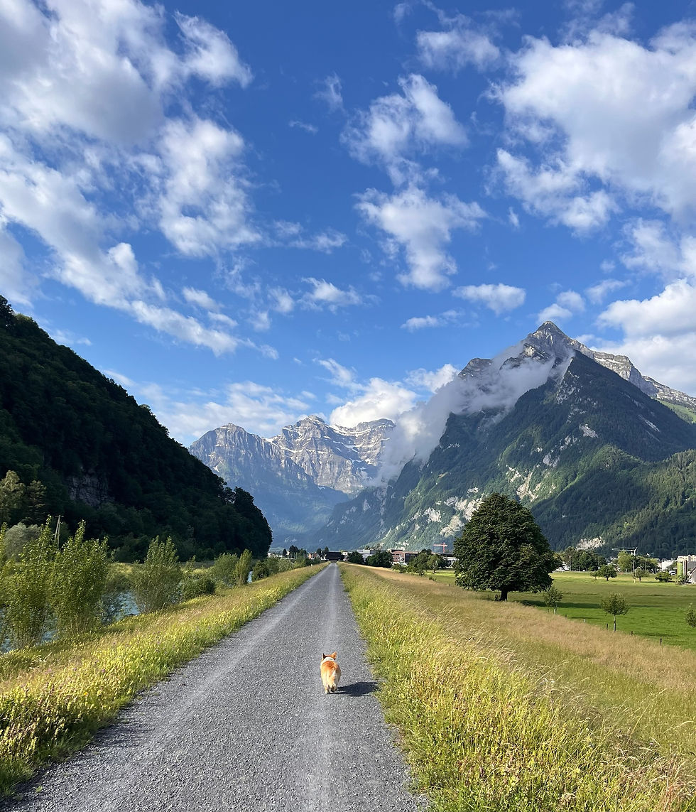 I am feeling incredibly blessed to call this place "home away from home"