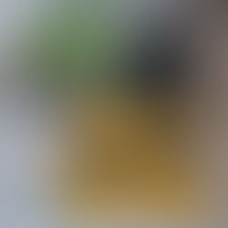 Initial Thoughts: Grivel Ran Anti-Slip Micro-Spikes 