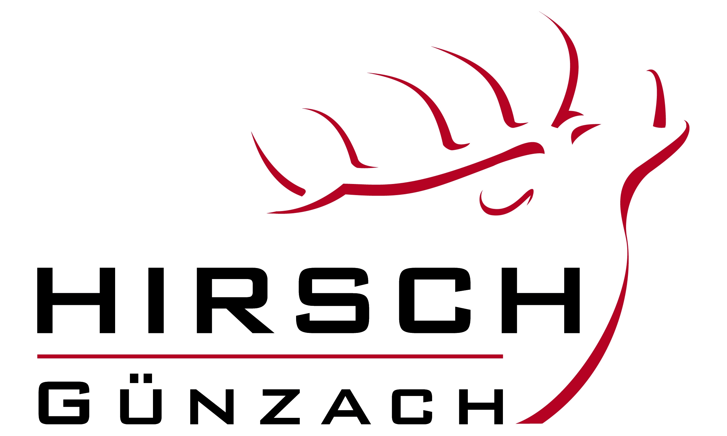 Hirsch Günzach