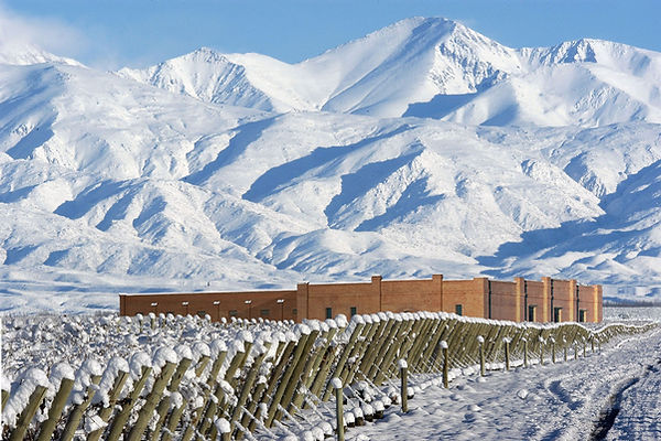 mendoza con nieve.jpg