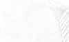 image 1.png