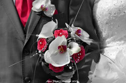 DSC_0170 modif