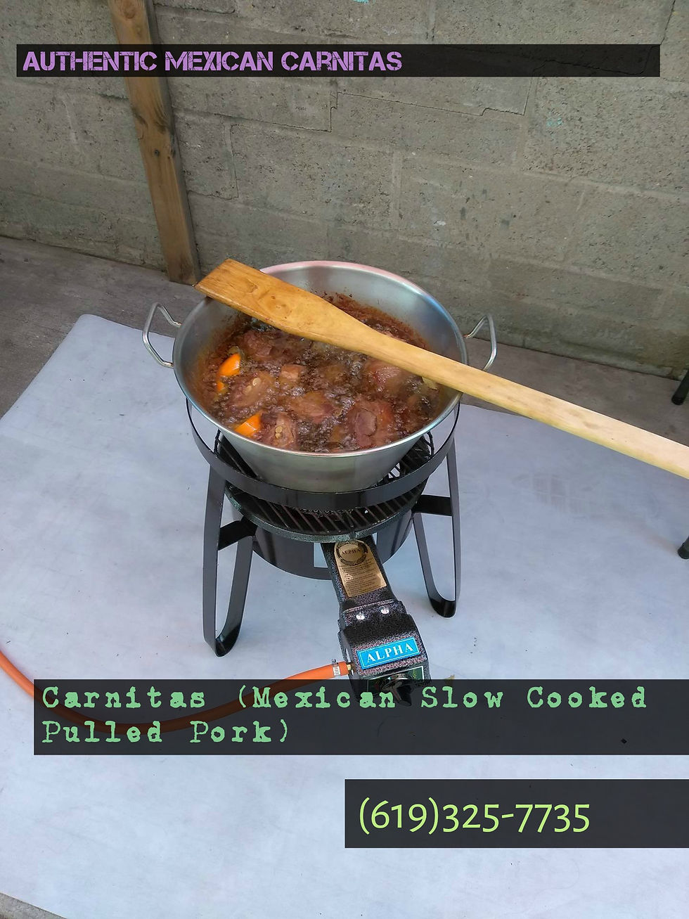 fiesta Mexicana carnitas