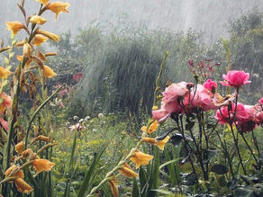 Warmth and Renewal: Our Spring Song Picks, by Redhawk Radio