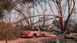 Poesia das Caminhadas