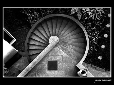 A Arte de Paulo Munhoz