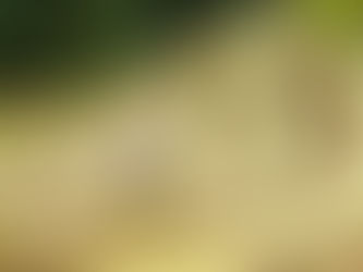 “A “DR” DA ESCRAVIZAÇÃO” e “O doce e salgado da vida” Bug Sociedade