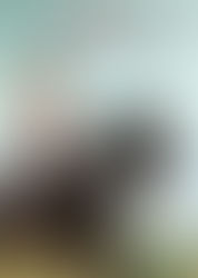 “Walk. Ride. Rodeo.” / “Andar Montar Rodeio - A Virada de Amberley” (Netflix, 2019)