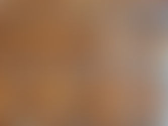 Exposição de Azulejos, Porto, Portugal