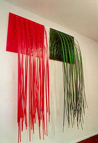 Lygia Pape