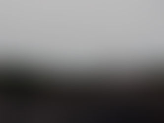 2 Contos de Pássaros Solitários