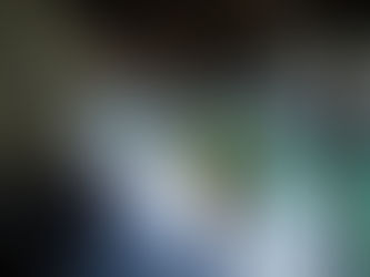 A Arte de Artur Gomes Pereira