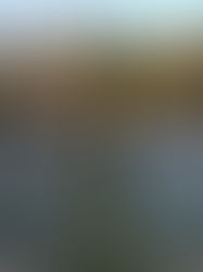 “LUTOS” e “E agora Sara Tavares?” Bug Sociedade