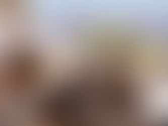 A Arte de Rui Rezende