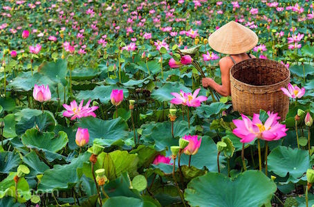 2 Contos sobre Bandidos e sobre o Cosmos