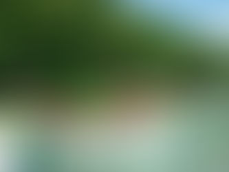 “APAGÃO DE IDEIAS” e “Sem emenda?” Bug Sociedade